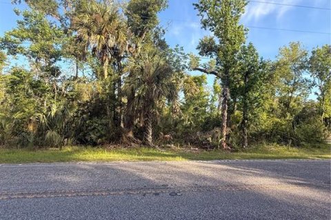 Terreno en Crystal River, Florida № 2161703