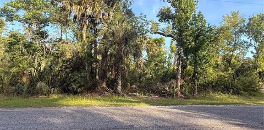 Terreno en Crystal River, Florida № 2161703