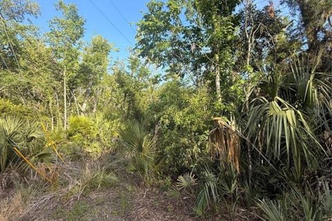 Terreno en venta en Crystal River, Florida № 2161703 - foto 10