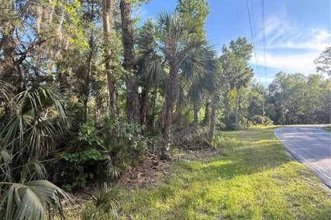 Terreno en venta en Crystal River, Florida № 2161703 - foto 11