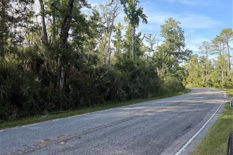 Terreno en venta en Crystal River, Florida № 2161703 - foto 12