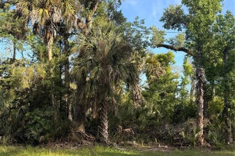 Terreno en venta en Crystal River, Florida № 2161703 - foto 13