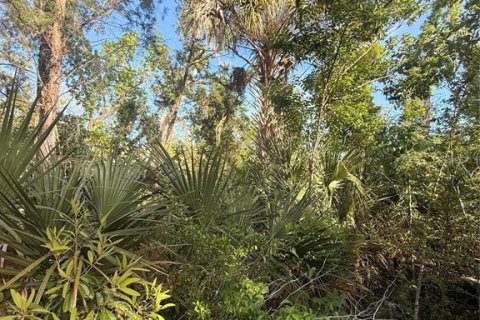 Terreno en venta en Crystal River, Florida № 2161703 - foto 9