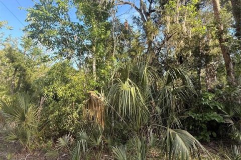 Terreno en venta en Crystal River, Florida № 2161703 - foto 8
