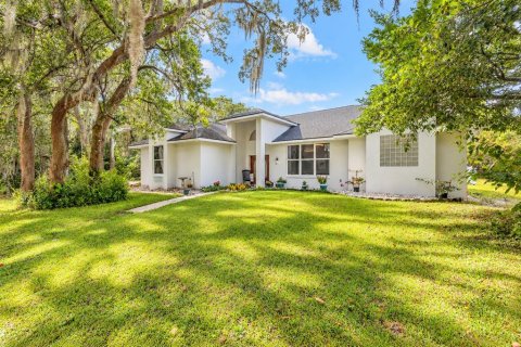 Villa ou maison à Port Orange, Floride 3 chambres, 184.13 m2 № 2407121
