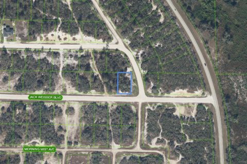 Land in Lake Placid, Florida № 2213698