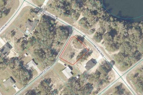 Land in Ocklawaha, Florida № 2159829 - photo 5