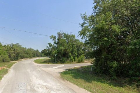 Land in Ocklawaha, Florida № 2159829