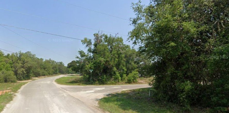 Land in Ocklawaha, Florida № 2159829