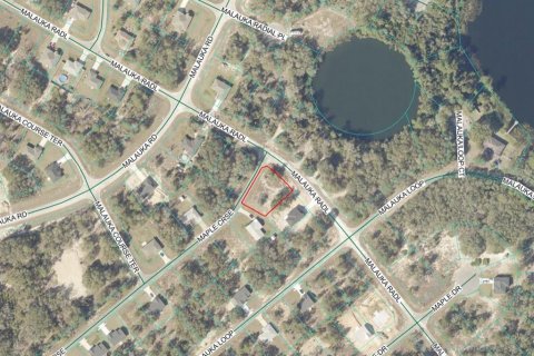 Land in Ocklawaha, Florida № 2159829 - photo 7