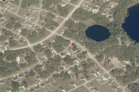 Land in Ocklawaha, Florida № 2159829 - photo 10