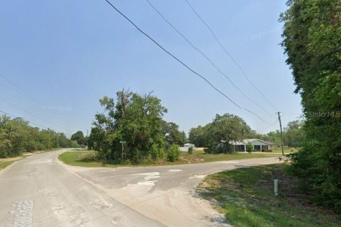 Land in Ocklawaha, Florida № 2159829 - photo 2