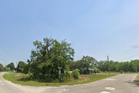 Land in Ocklawaha, Florida № 2159829 - photo 3