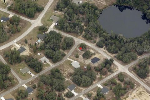 Land in Ocklawaha, Florida № 2159829 - photo 9