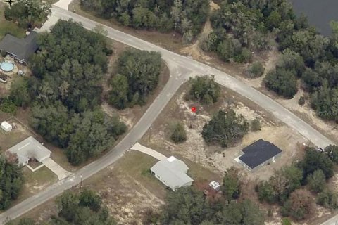 Land in Ocklawaha, Florida № 2159829 - photo 8
