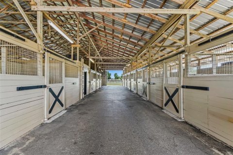 Villa ou maison à louer à Ocala, Floride: 3 chambres, 162.49 m2 № 2388137 - photo 6