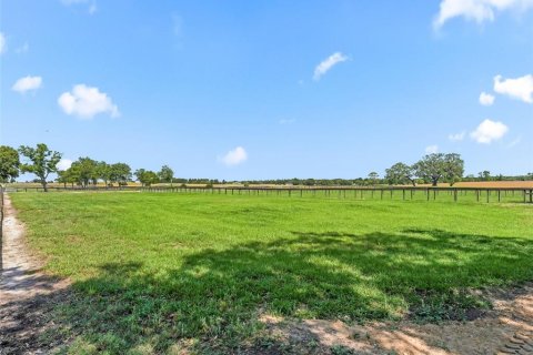 Villa ou maison à louer à Ocala, Floride: 3 chambres, 162.49 m2 № 2388137 - photo 13