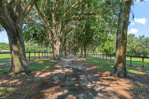 Villa ou maison à louer à Ocala, Floride: 3 chambres, 162.49 m2 № 2388137 - photo 18