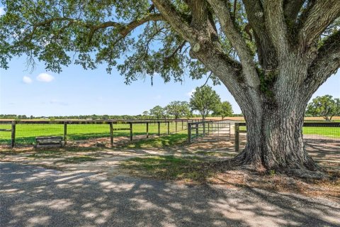 Villa ou maison à louer à Ocala, Floride: 3 chambres, 162.49 m2 № 2388137 - photo 14