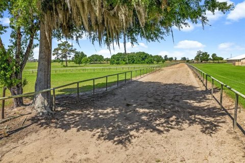 Villa ou maison à louer à Ocala, Floride: 3 chambres, 162.49 m2 № 2388137 - photo 28