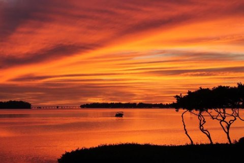 Condo in Bradenton, Florida, 2 bedrooms  № 2150166 - photo 3