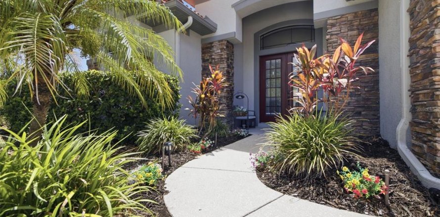 Villa ou maison à New Port Richey, Floride 5 chambres, 335.56 m2 № 2234434