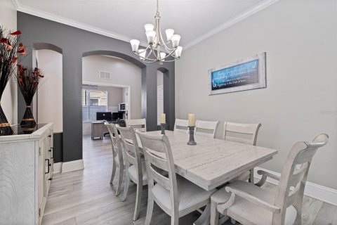 Villa ou maison à vendre à New Port Richey, Floride: 5 chambres, 335.56 m2 № 2234434 - photo 12
