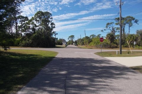 Land in Rotonda, Florida № 2160374 - photo 9
