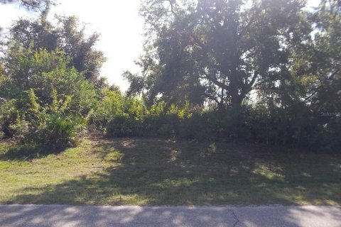 Land in Rotonda, Florida № 2160374 - photo 3