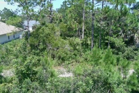 Land in Palm Coast, Florida № 1851178 - photo 1