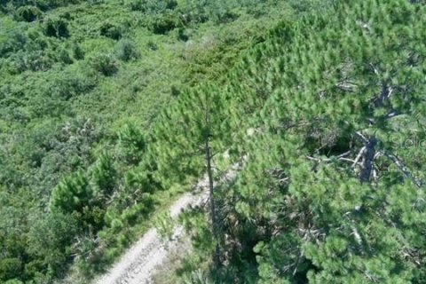 Land in Palm Coast, Florida № 1851178 - photo 2