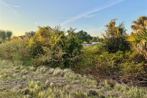 Land in North Port, Florida № 2162607 - photo 5
