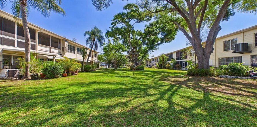 Condo in Saint Petersburg, Florida, 1 bedroom  № 2214987