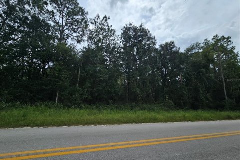 Land in Bronson, Florida № 2162652