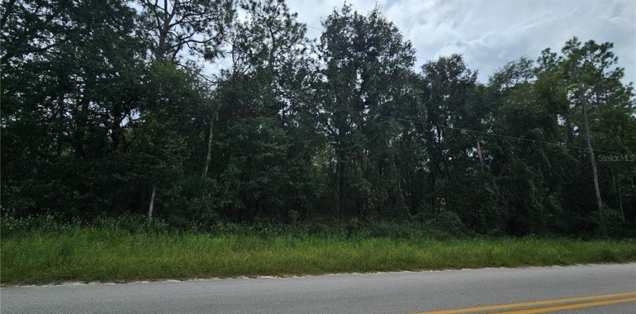 Terreno en Bronson, Florida № 2162652