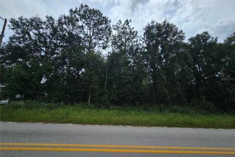 Terreno en venta en Bronson, Florida № 2162652 - foto 3