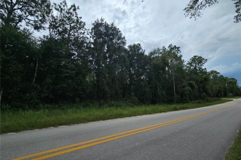 Terreno en venta en Bronson, Florida № 2162652 - foto 4
