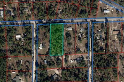 Terreno en venta en Bronson, Florida № 2162652 - foto 2