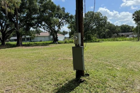 Land in Plant City, Florida № 1798290 - photo 3