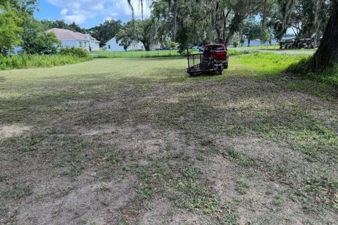 Land in Plant City, Florida № 1798290 - photo 9