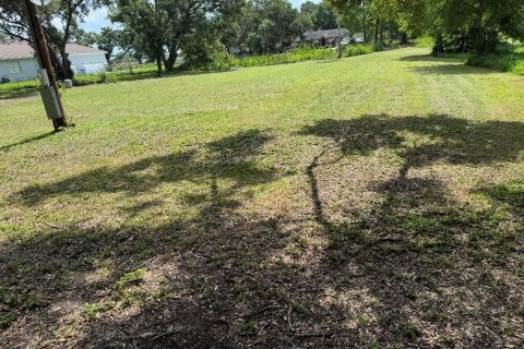 Land in Plant City, Florida № 1798290 - photo 4