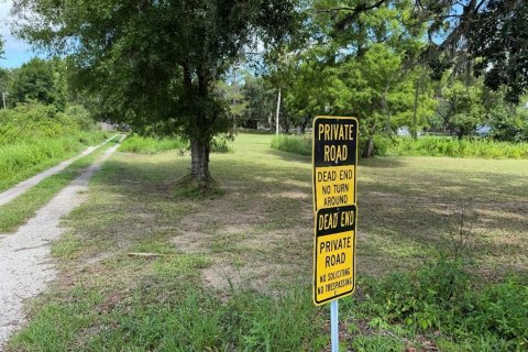 Land in Plant City, Florida № 1798290 - photo 8