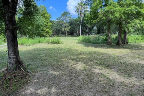 Land in Plant City, Florida № 1798290 - photo 10