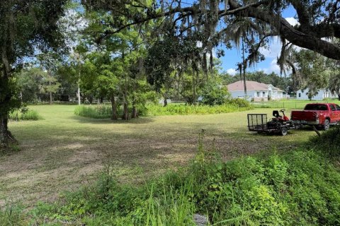 Land in Plant City, Florida № 1798290 - photo 7