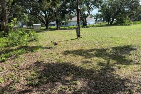Land in Plant City, Florida № 1798290 - photo 6