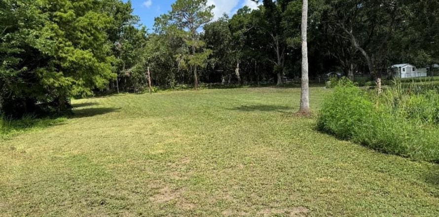 Land in Plant City, Florida № 1798290