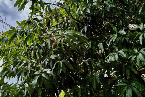 House in Miami, Florida 4 bedrooms, 163.88 sq.m. № 2065547 - photo 19