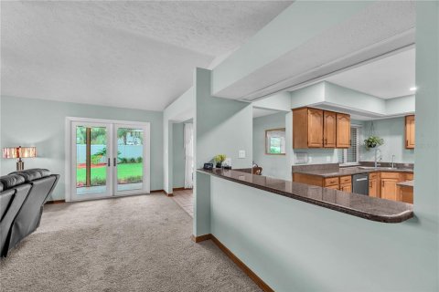 House in Brandon, Florida 4 bedrooms, 265.61 sq.m. № 2426957 - photo 10