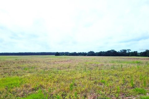 Terrain à vendre à Groveland, Floride № 1323242 - photo 4