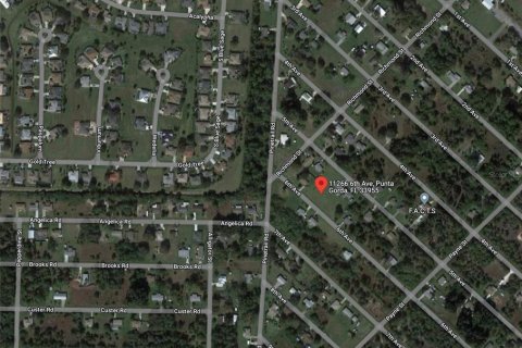 Land in Punta Gorda, Florida № 218103 - photo 1